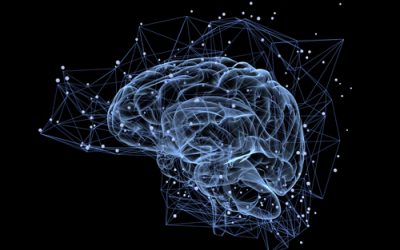How Your Biology Influences Your Productivity