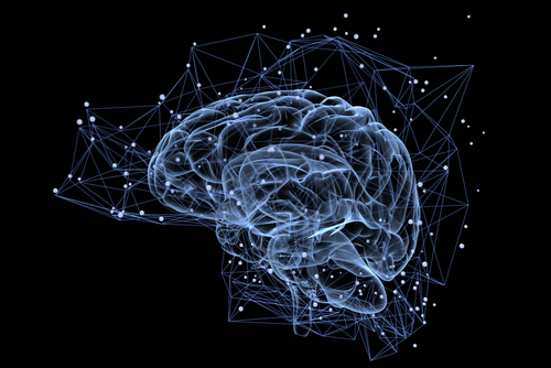 How Your Biology Influences Your Productivity